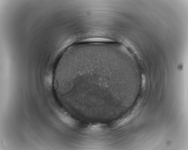 X0000099500072200805221410