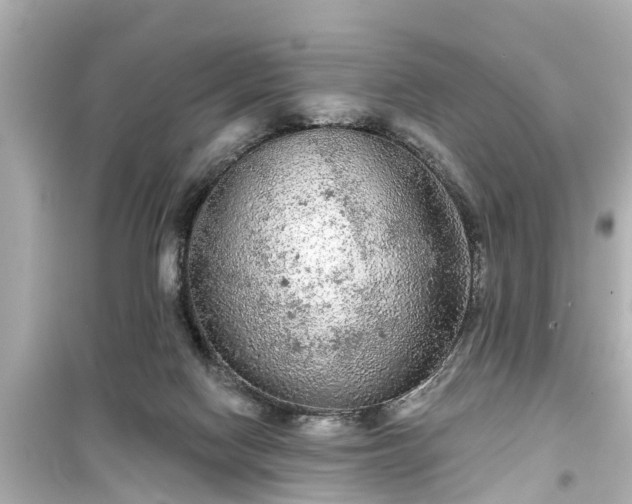 X0000099500074200805221410