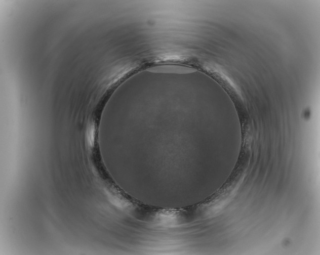 X0000099500076200805221410