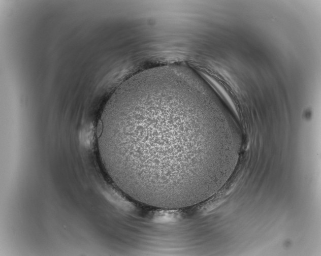 X0000099500077200805221410