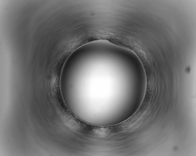 X0000099500079200805221410