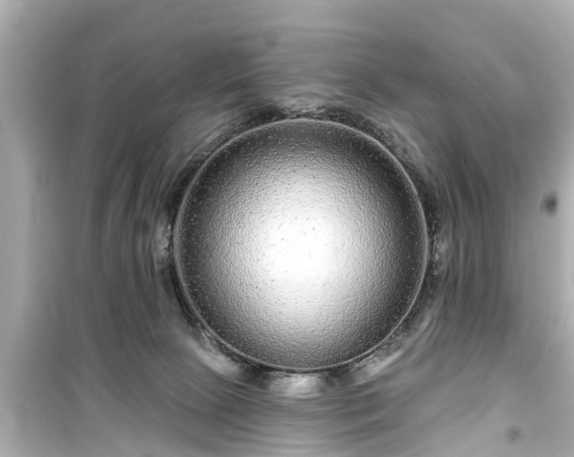 X0000099500081200805221410