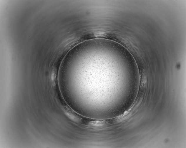 X0000099500082200805221410