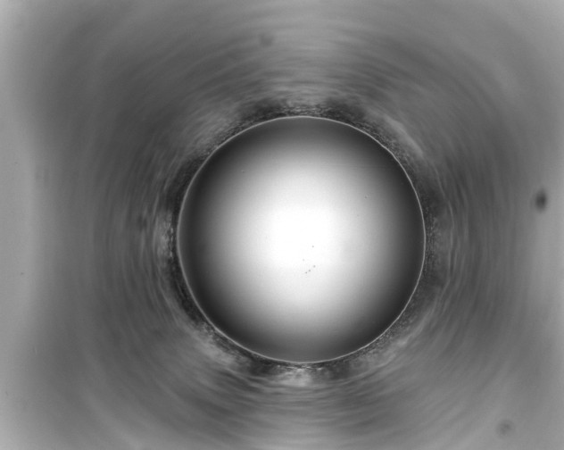X0000099500083200805221410