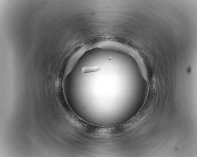 X0000099500084200805221410