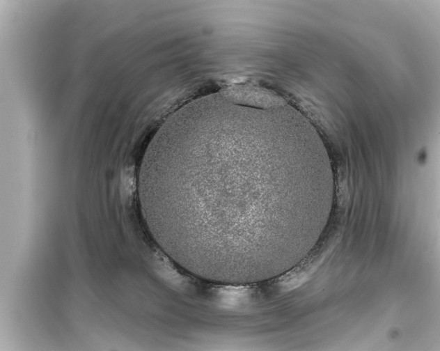 X0000099500085200805221410