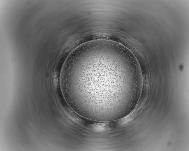 X0000099500086200805221410
