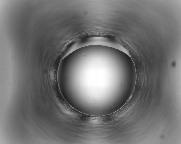 X0000099500088200805221410