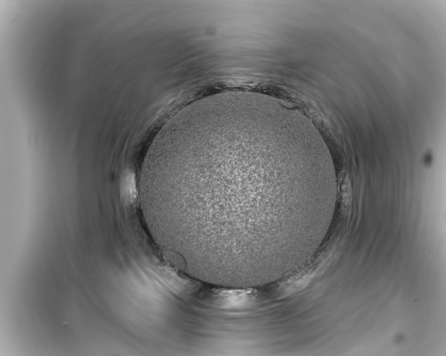 X0000099500089200805221410