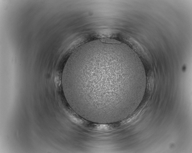 X0000099500091200805221410
