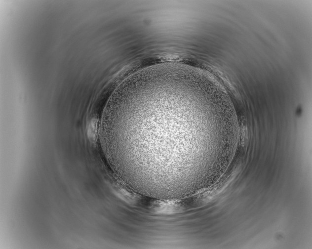 X0000099500093200805221410