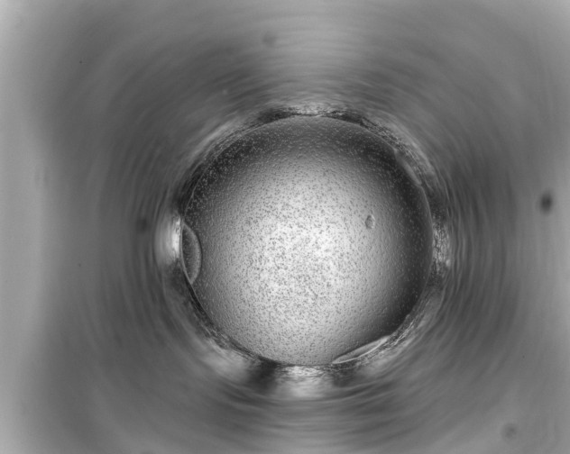 X0000099500095200805221410