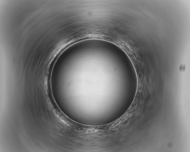 X0000099500098200805221409