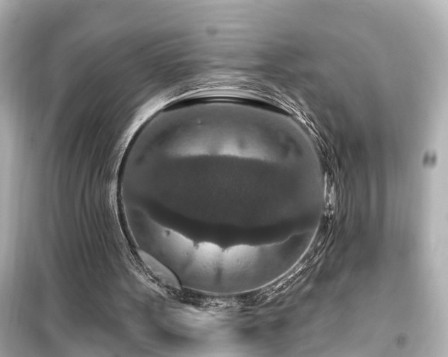 X0000099500099200805221409