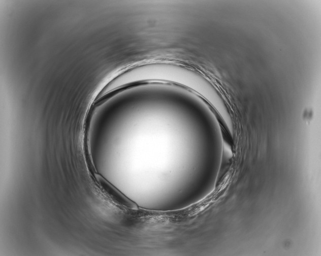 X0000099500100200805221409