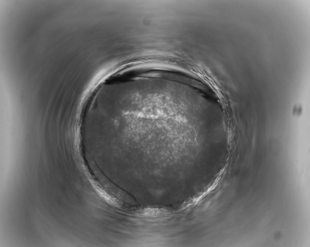 X0000099500101200805221409