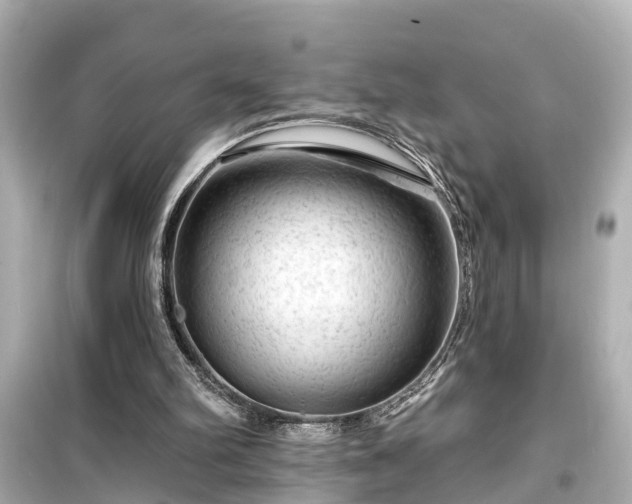 X0000099500102200805221409