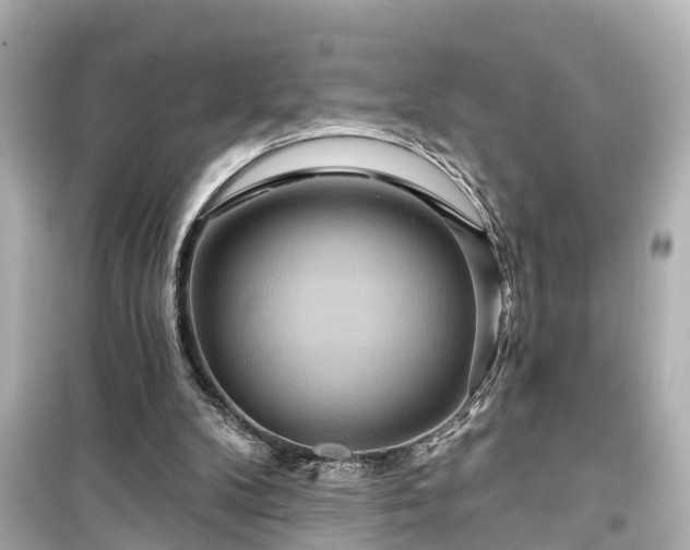 X0000099500104200805221409