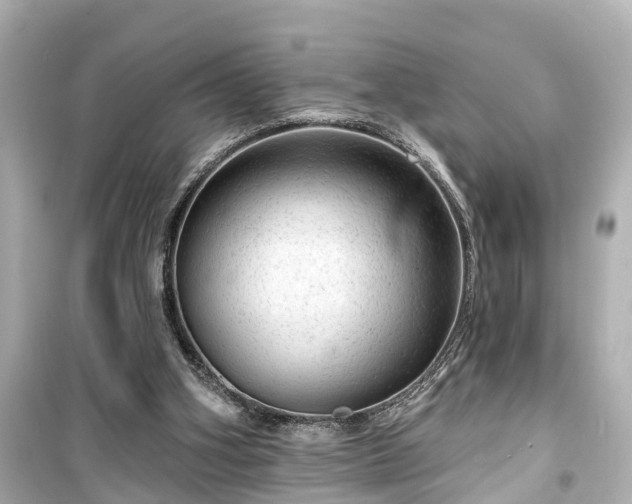 X0000099500106200805221409