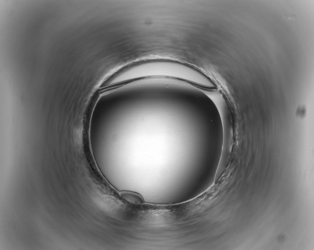 X0000099500108200805221409