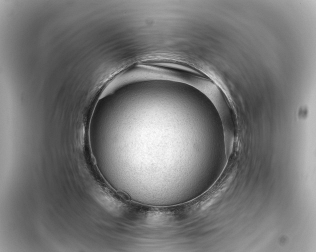X0000099500109200805221409