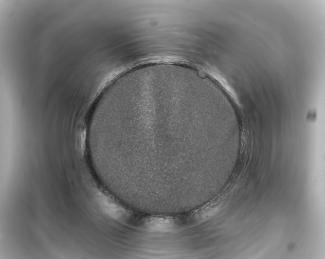 X0000099500110200805221409