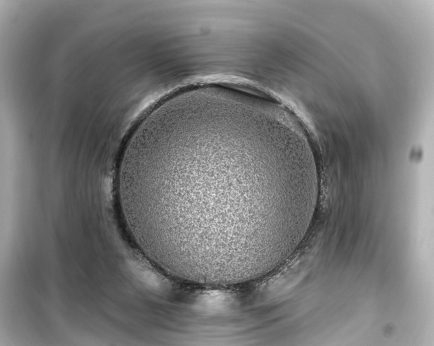 X0000099500111200805221409