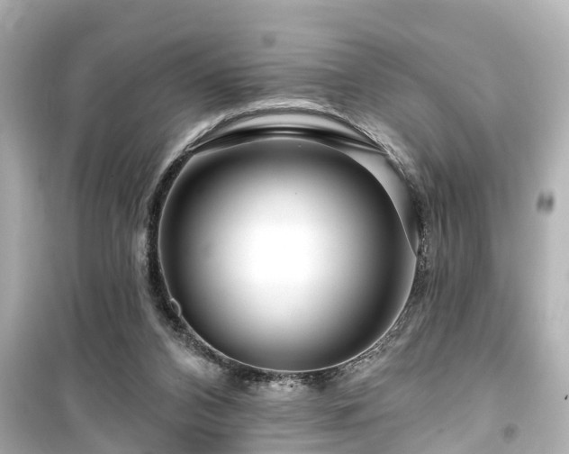 X0000099500112200805221409