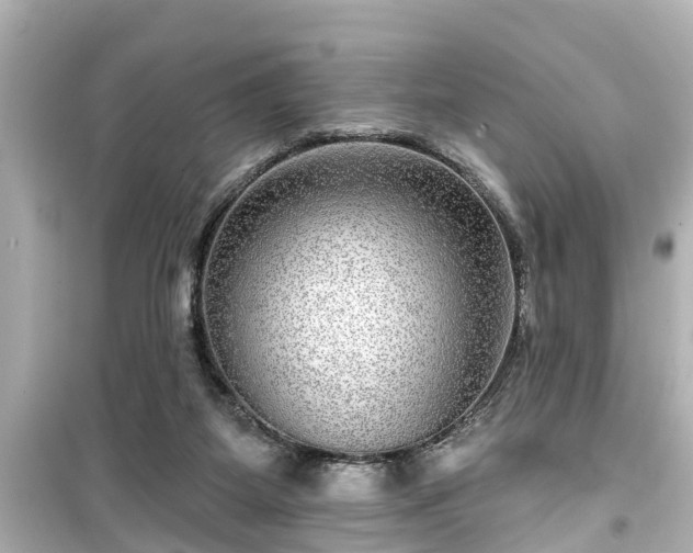 X0000099500115200805221409