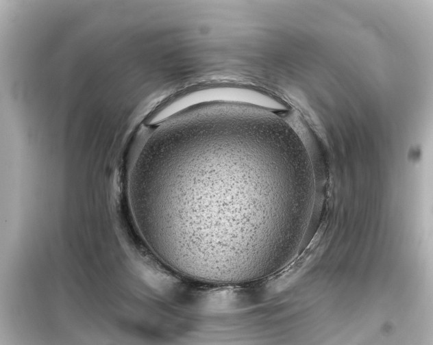 X0000099500116200805221409