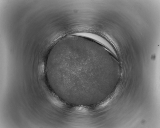 X0000099500117200805221409
