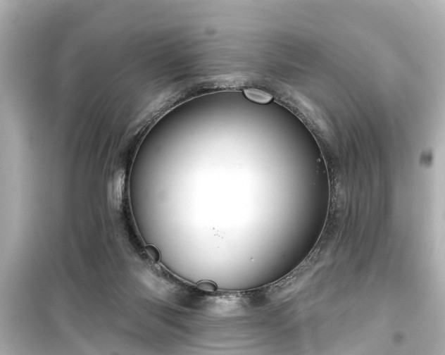 X0000099500118200805221409