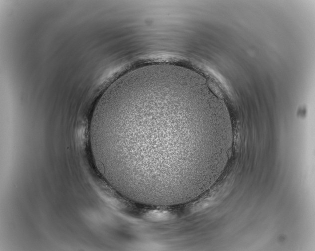 X0000099500119200805221409