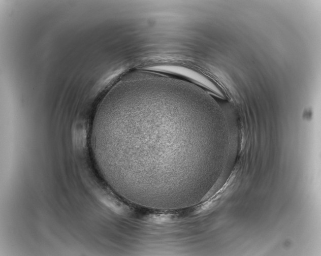 X0000099500120200805221409
