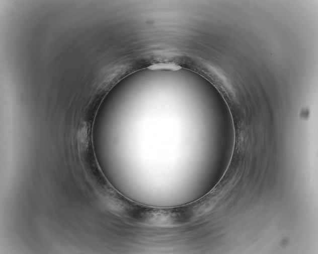 X0000099500121200805221409