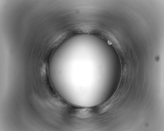 X0000099500122200805221409