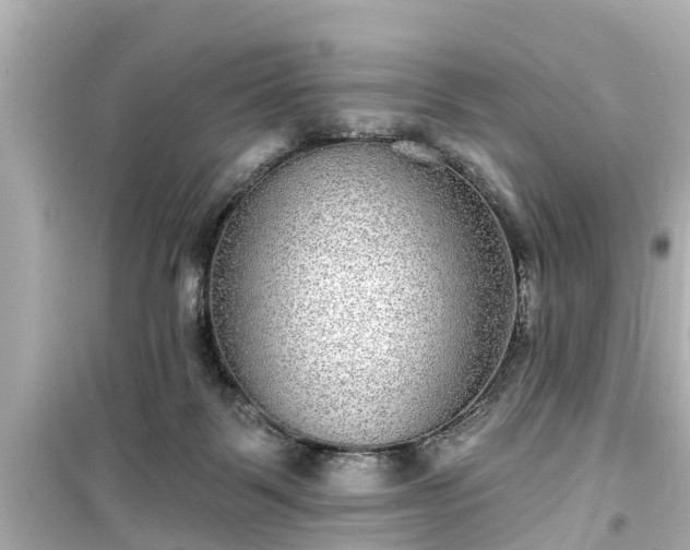 X0000099500123200805221409