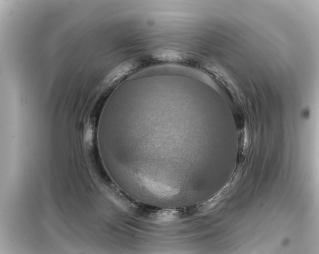 X0000099500124200805221409