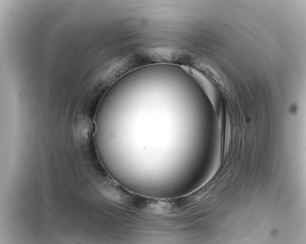 X0000099500125200805221409
