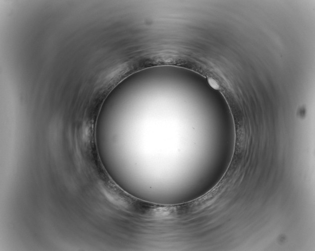 X0000099500126200805221409