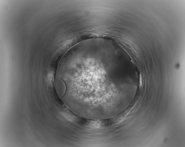 X0000099500127200805221409