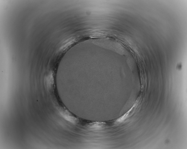 X0000099500128200805221409