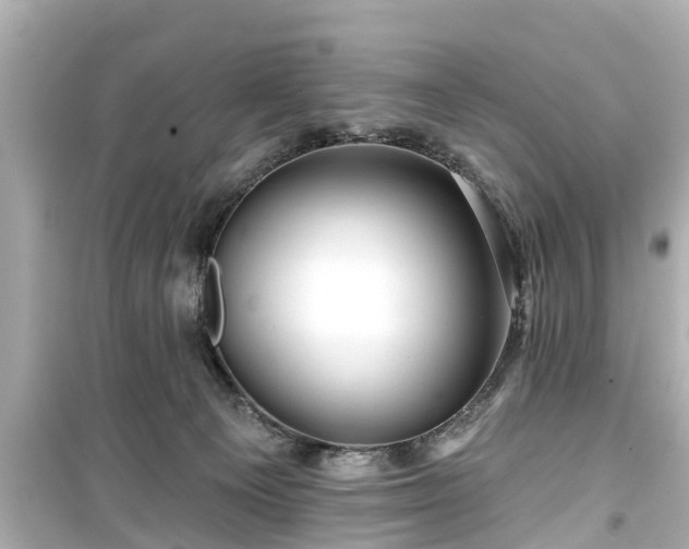 X0000099500129200805221409