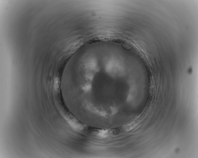 X0000099500130200805221409