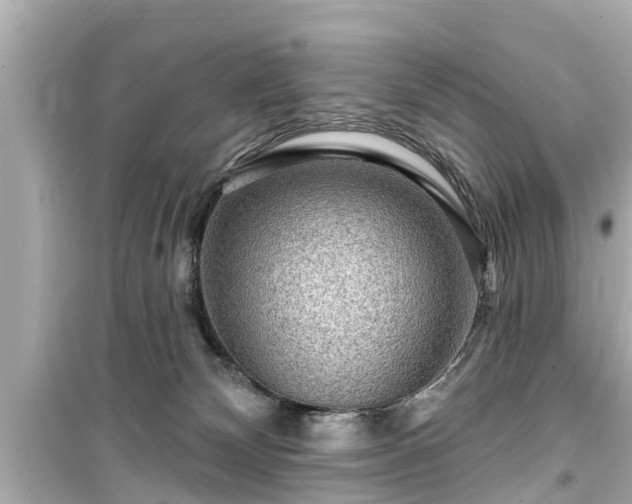 X0000099500132200805221409