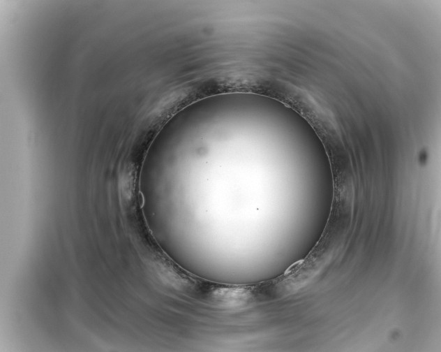 X0000099500133200805221409