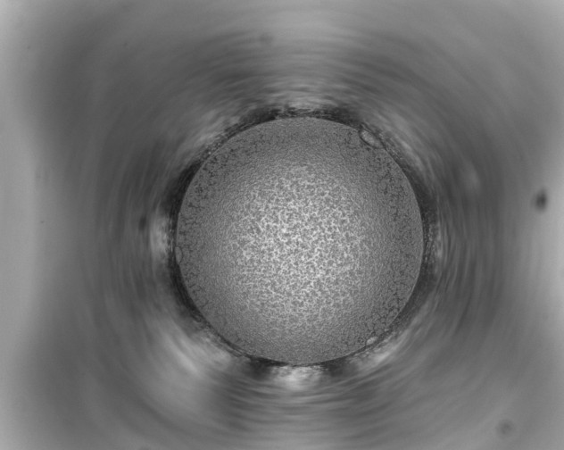 X0000099500135200805221409