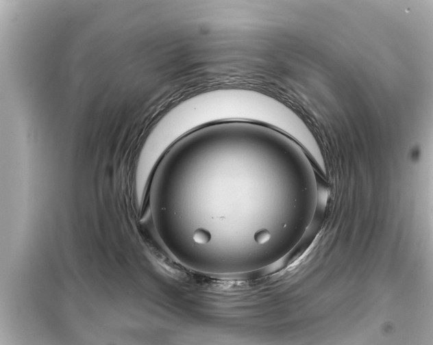 X0000099500136200805221409