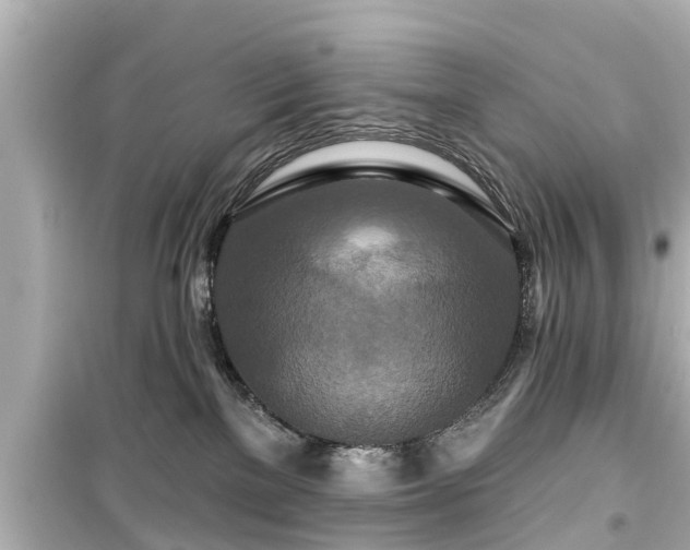 X0000099500137200805221409
