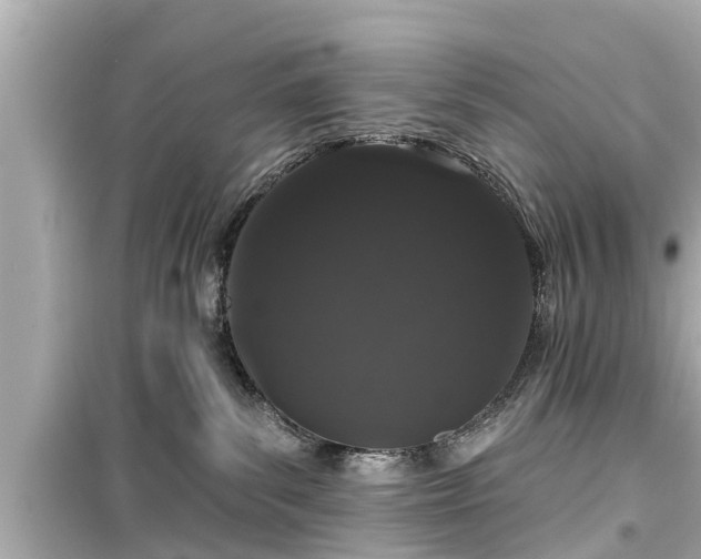 X0000099500139200805221409